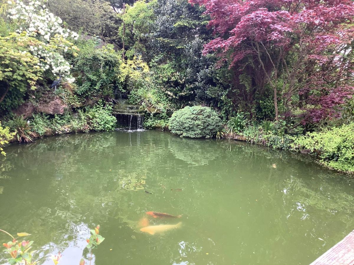 The Willows Newton Abbot Extérieur photo